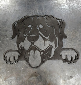 Rottweiler
