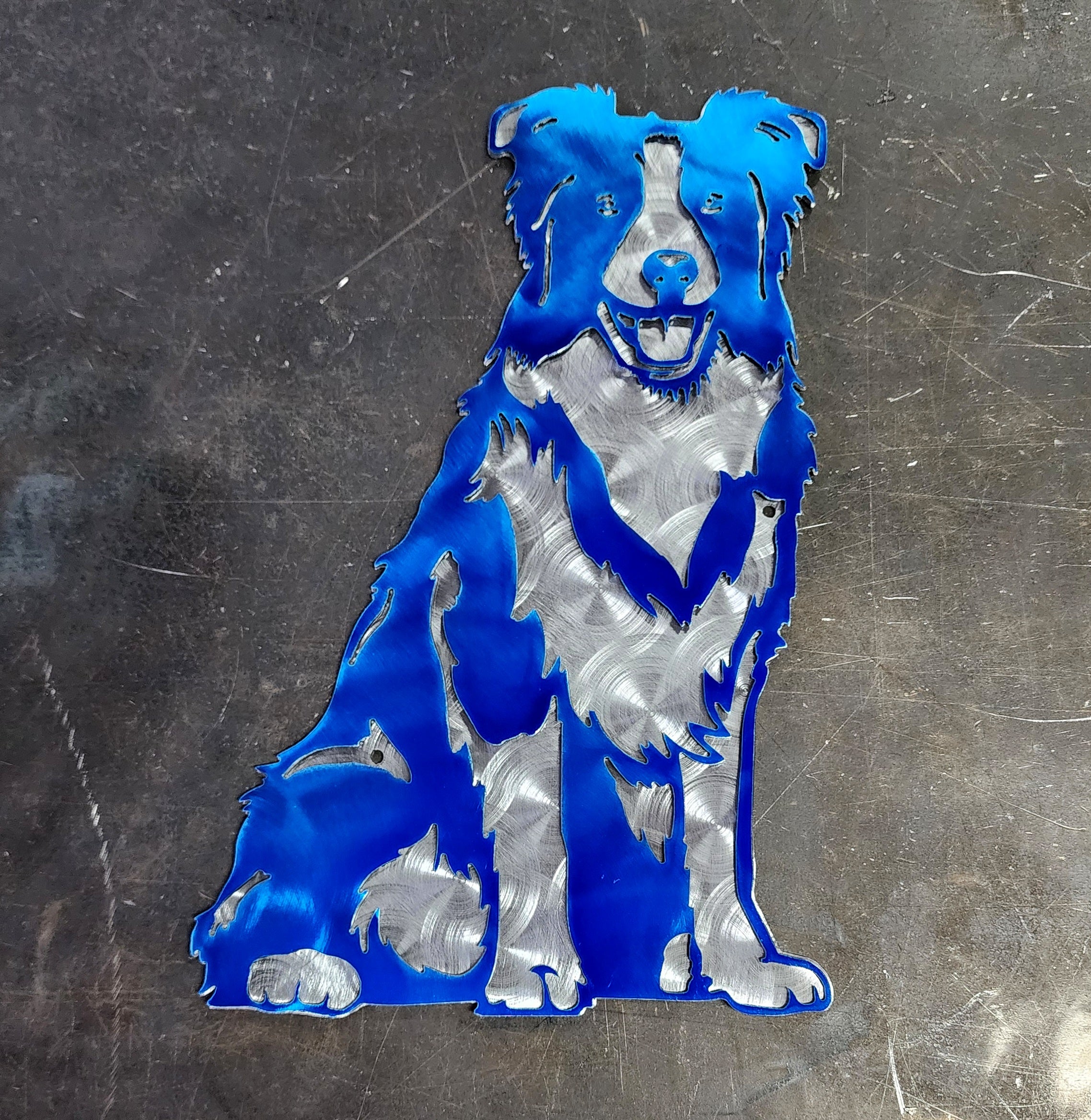 Border Collie Metal Wall Art #2