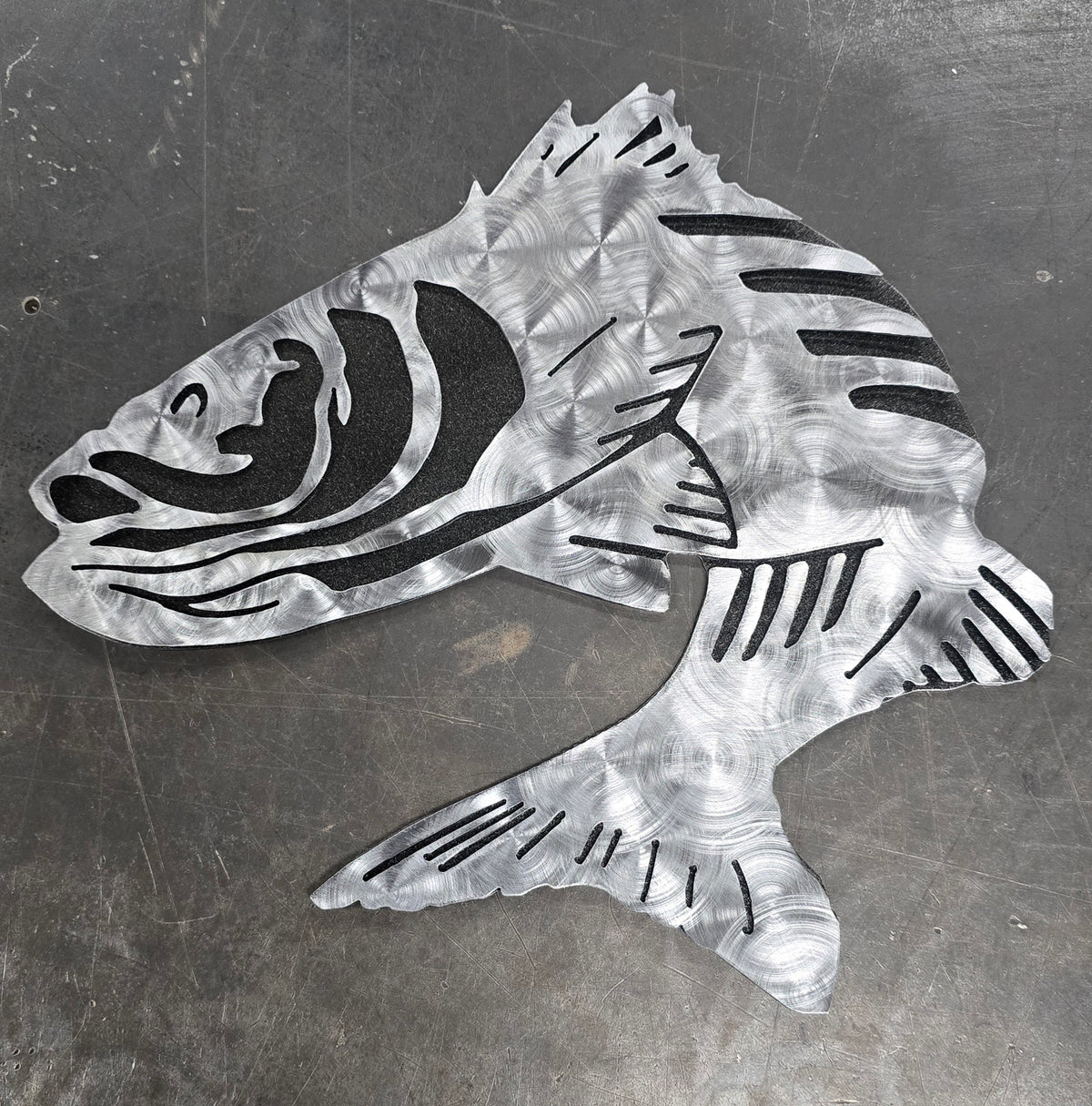 Striped Bass (Rockfish) Metal Wall Art #1