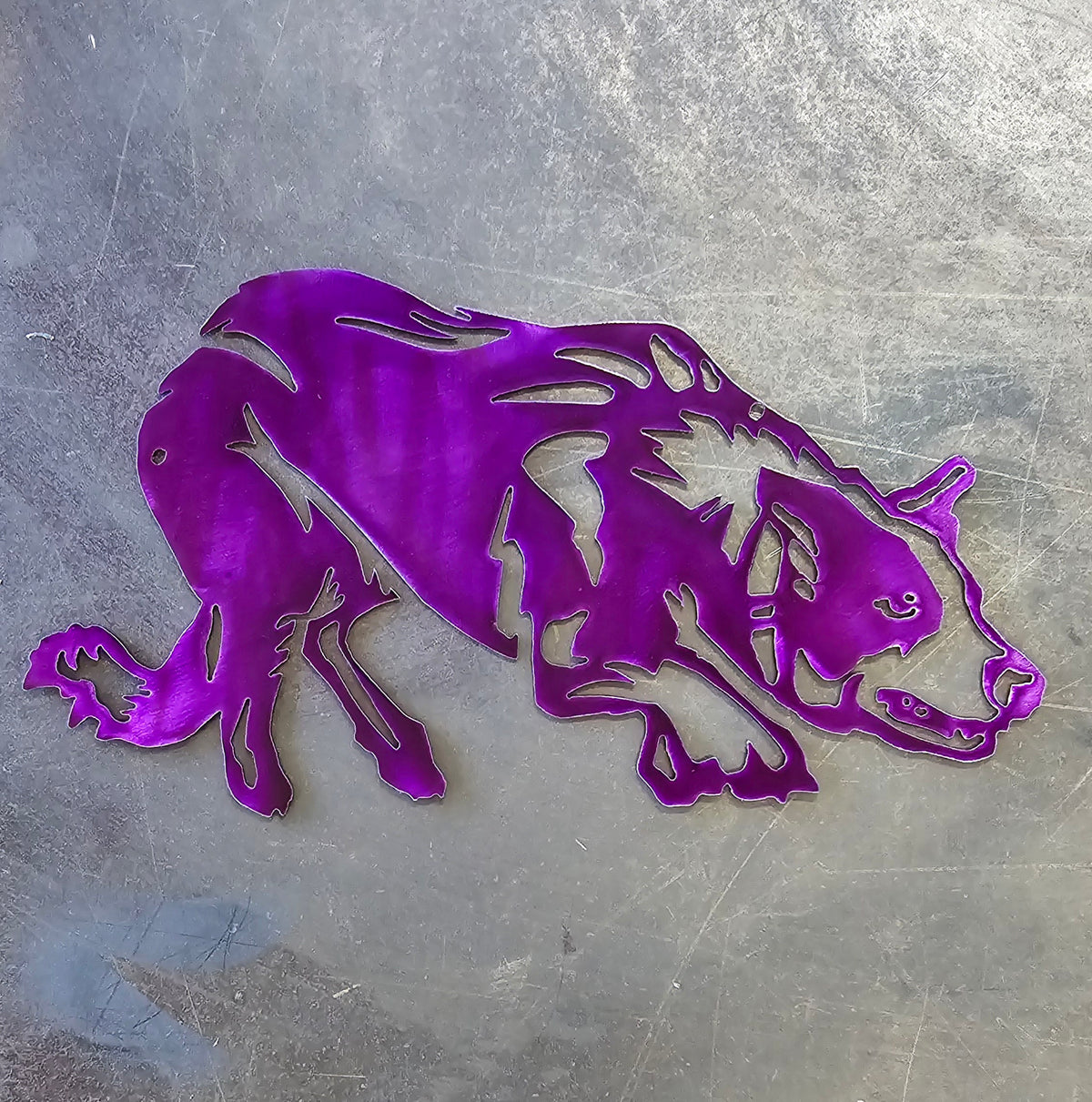 Border Collie Metal Wall Art