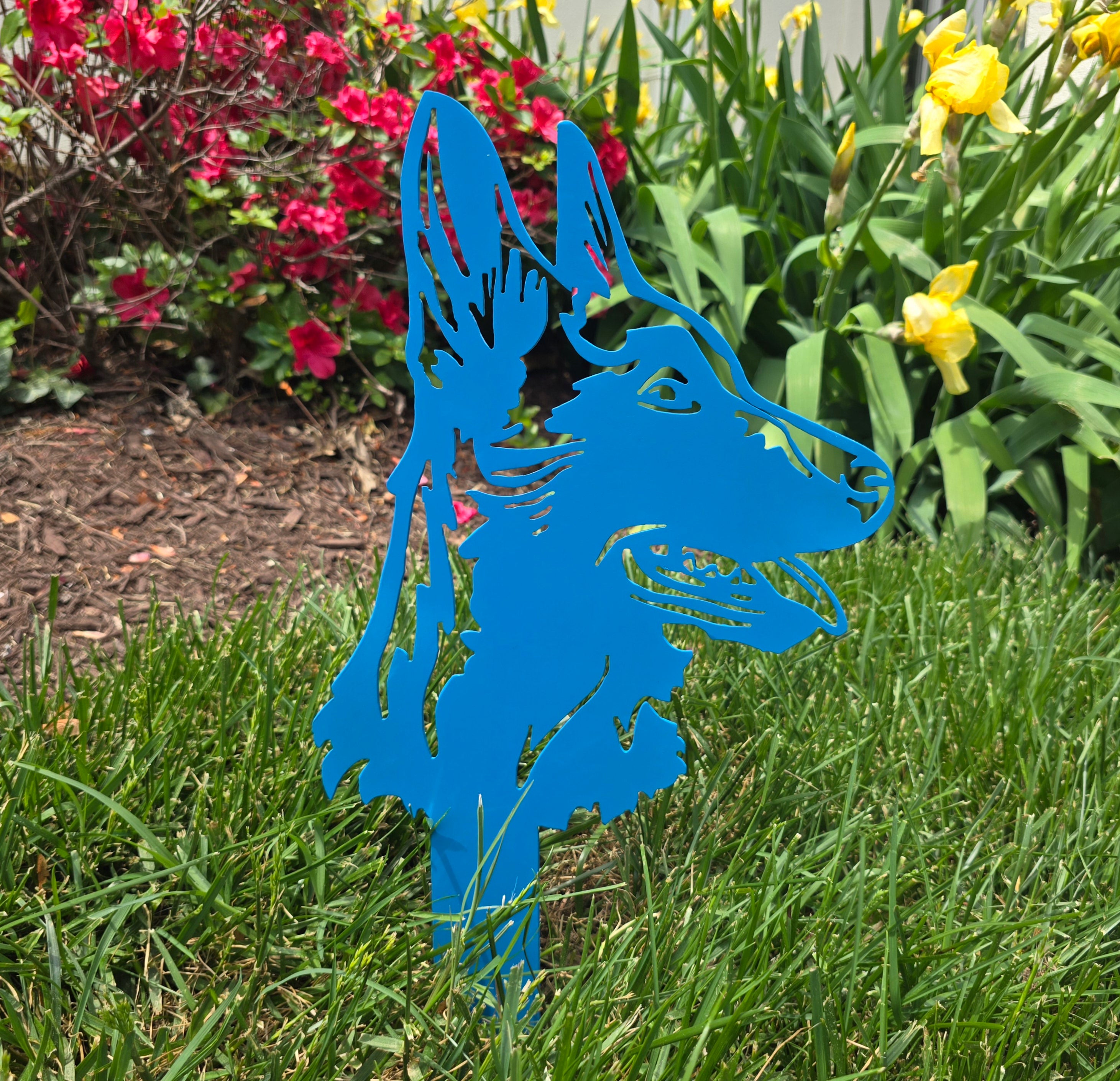 Belgian Malinois Garden Stake #2