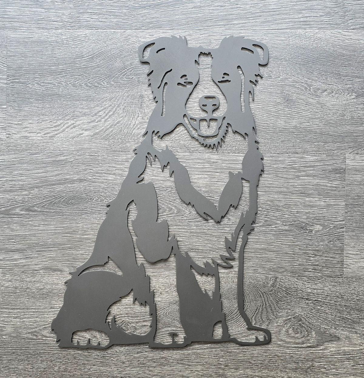 Border Collie Metal Wall Art