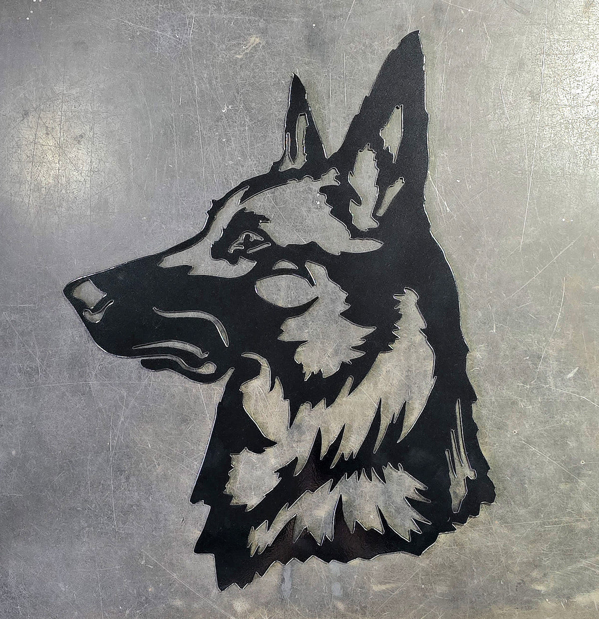 Belgian Malinois Metal Wall Art #1