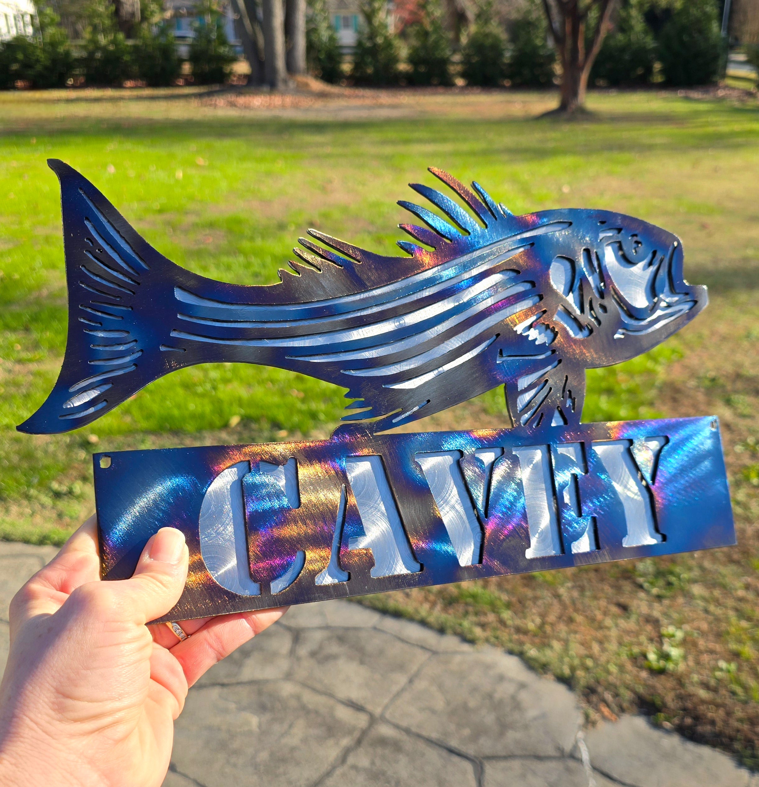 Striped Bass (Rockfish) Metal Wall Art #2