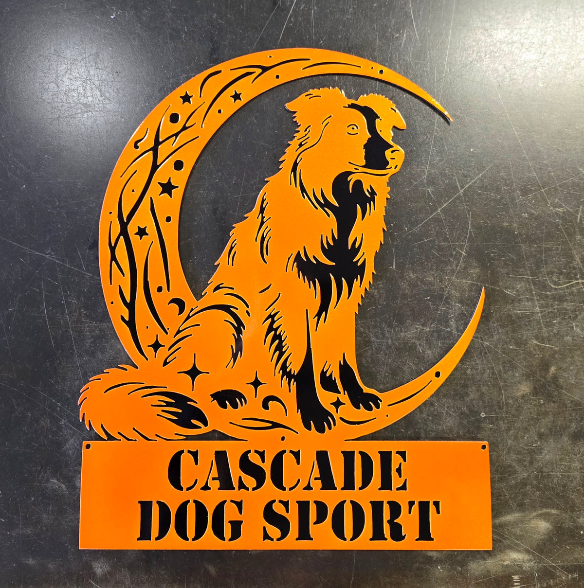 Border Collie Moon Metal Wall Art