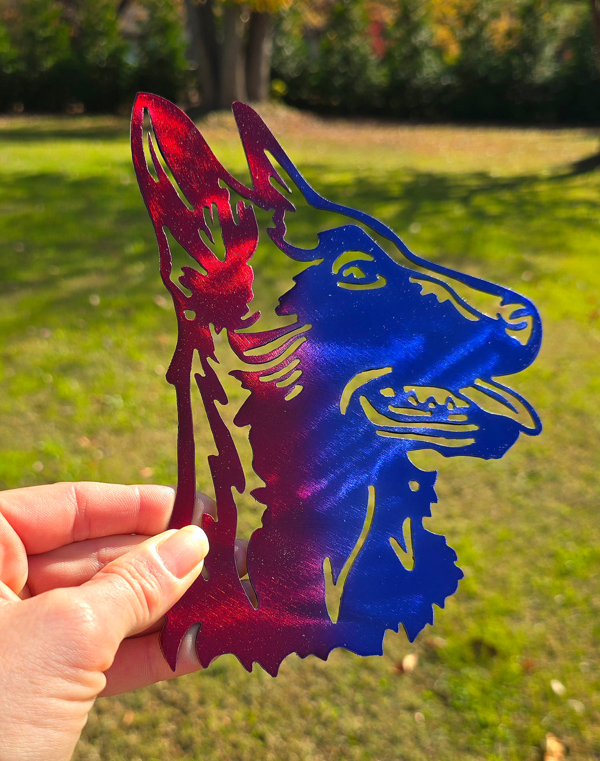 Belgian Malinois Metal Wall Art #2