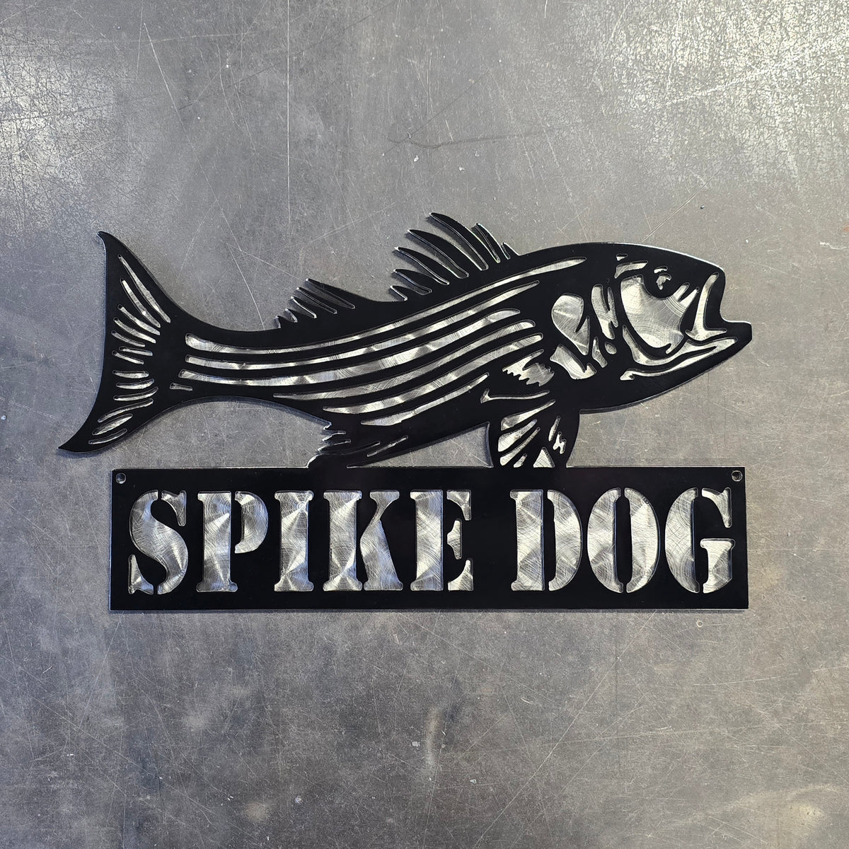 Striped Bass (Rockfish) Metal Wall Art #2