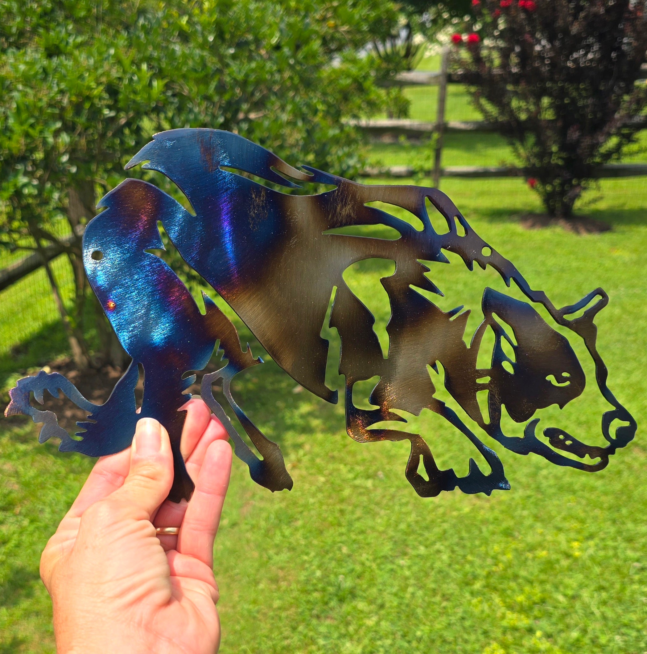 Border Collie Metal Wall Art #3