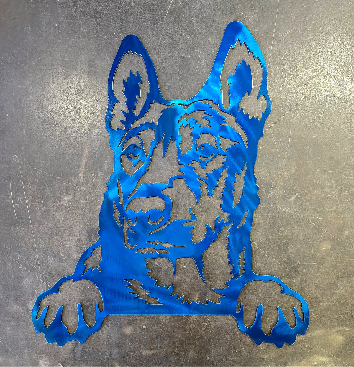 Belgian Malinois Metal Wall Art #3