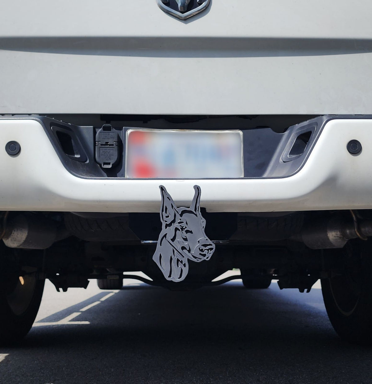 Doberman Pinscher Metal Hitch Cover