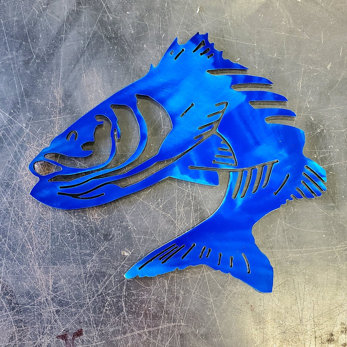 Striped Bass (Rockfish) Metal Wall Art #1