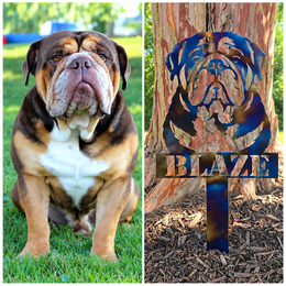 Blaze original dog photograph beside the finished personalized metal portrait garden stake by Elite Metalworking