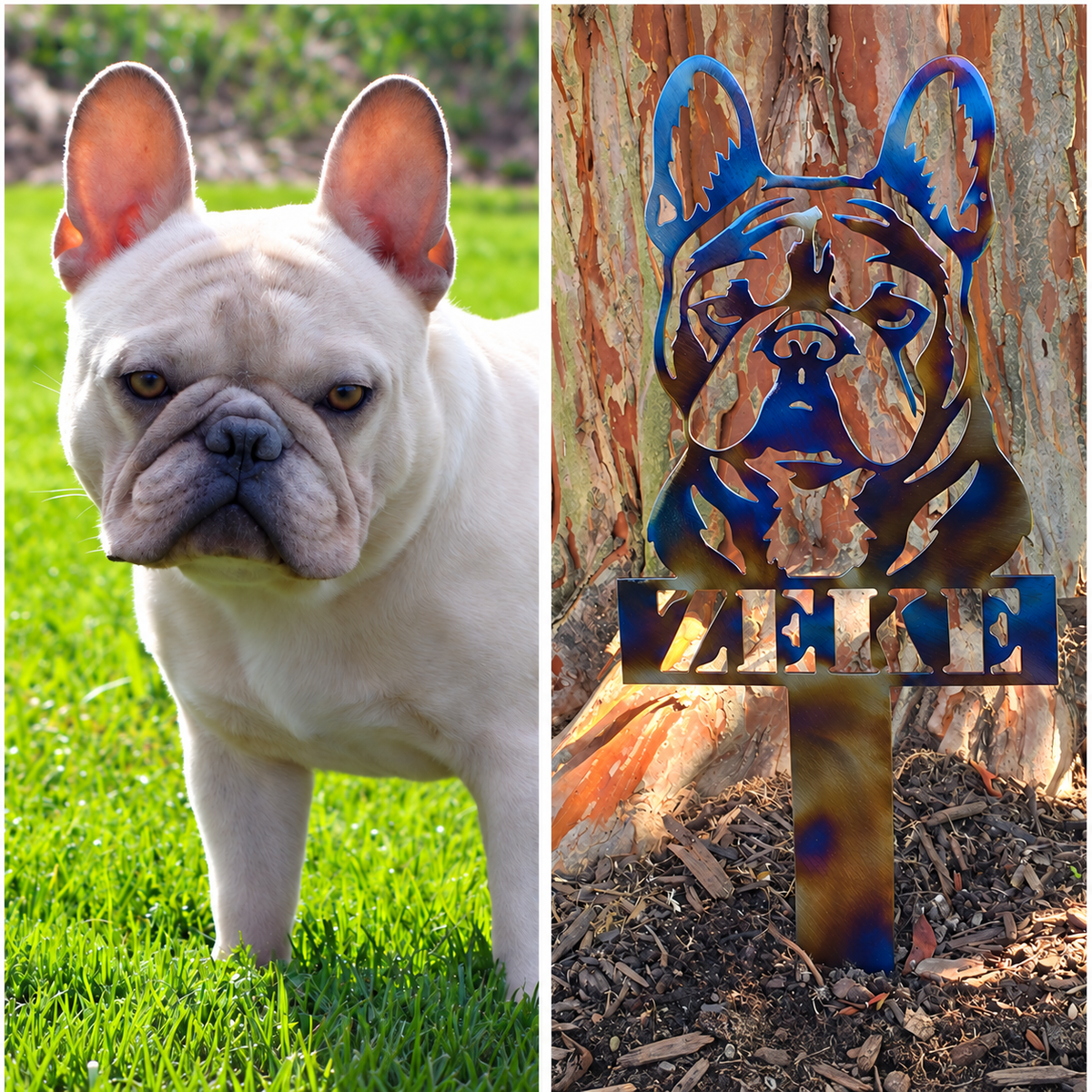 Zeke original dog photograph beside the finished personalized metal portrait garden stake by Elite Metalworking