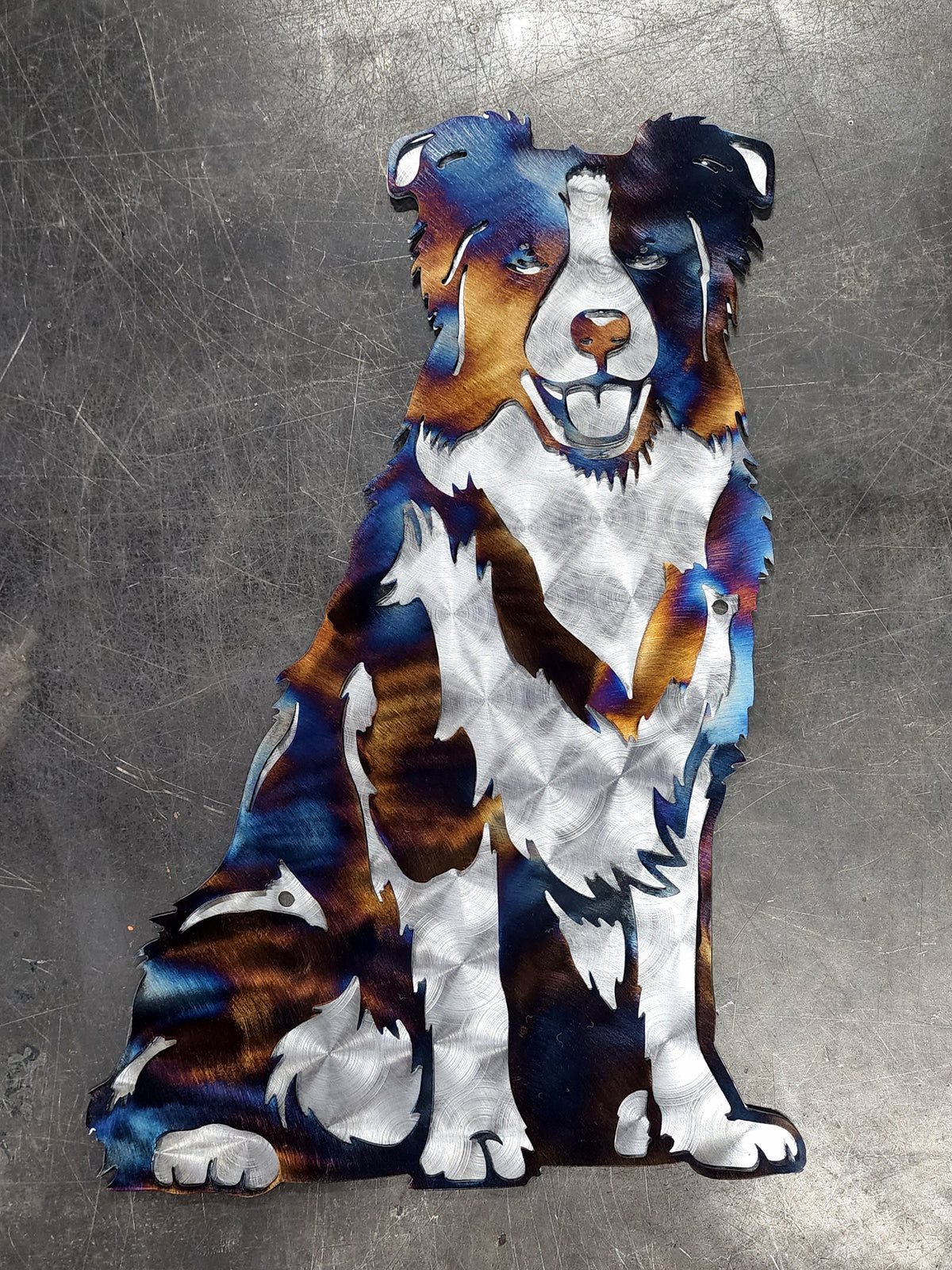 Border Collie Metal Wall Art
