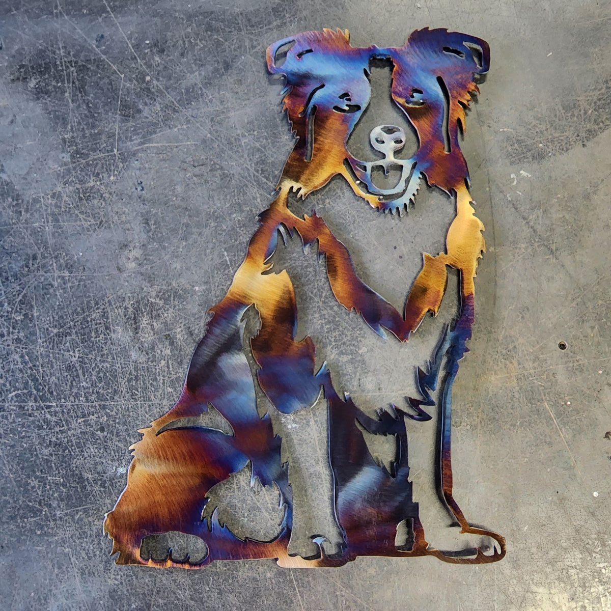 Border Collie Metal Wall Art