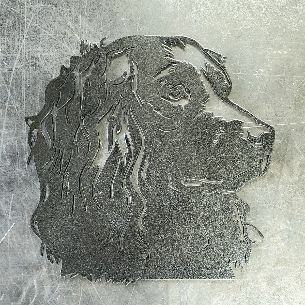 Boykin Spaniel Metal Wall Art