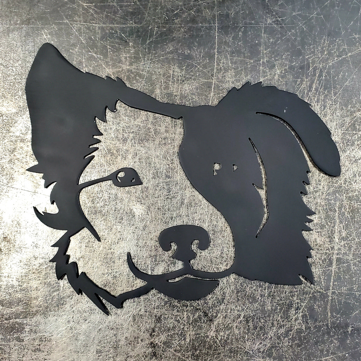 Border Collie Metal Wall Art