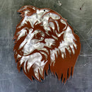 💥In Stock-Sheltie