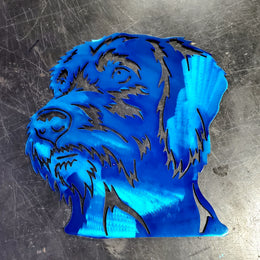 Wirehaired Vizsla Metal Wall Art