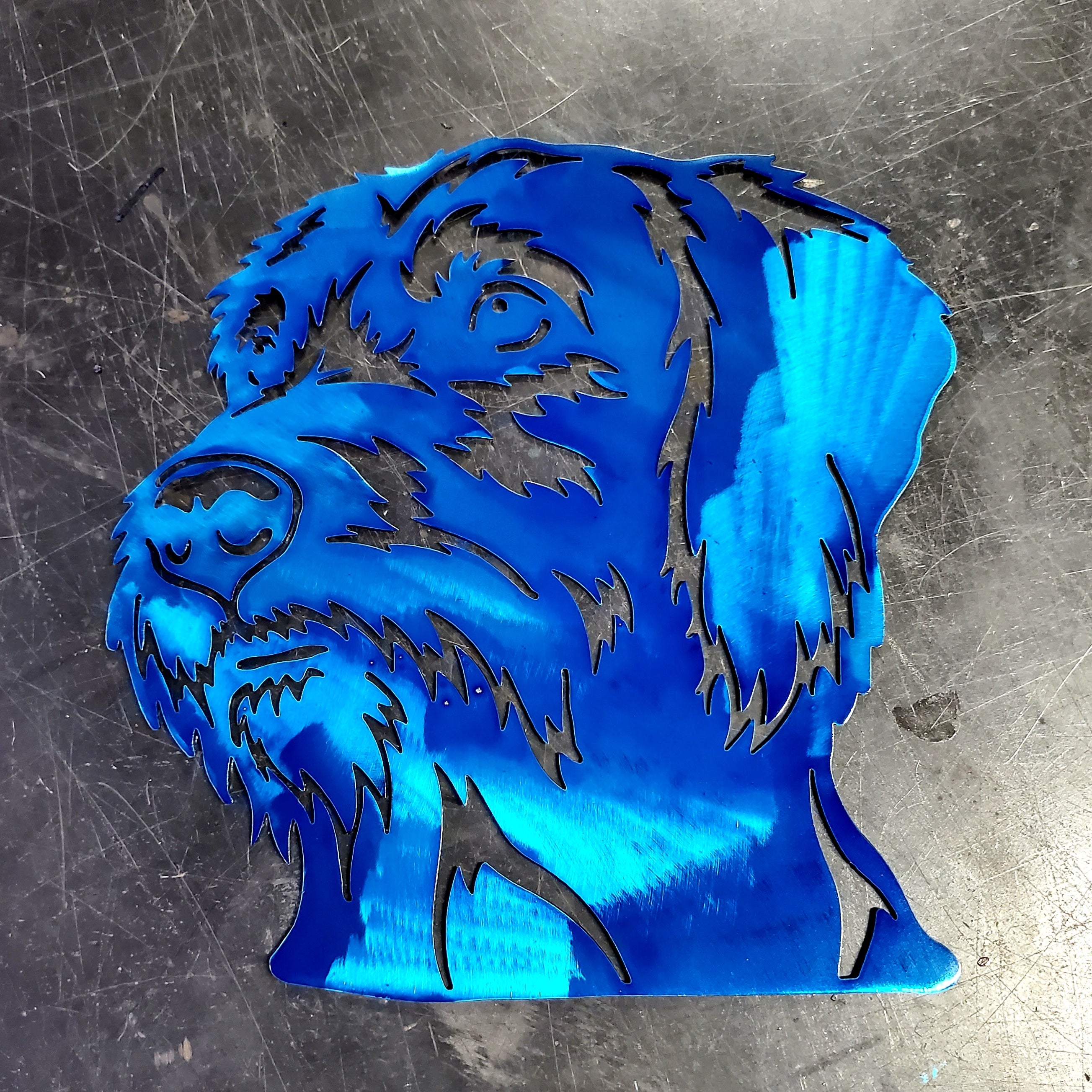 Wirehaired Vizsla Metal Art