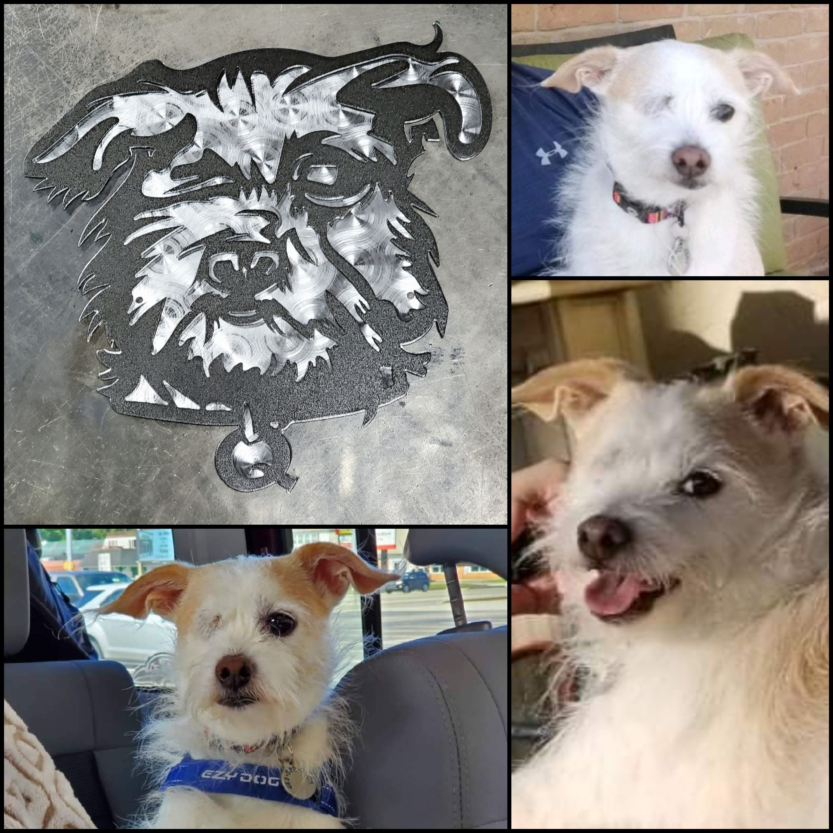 Custom Metal Portraits