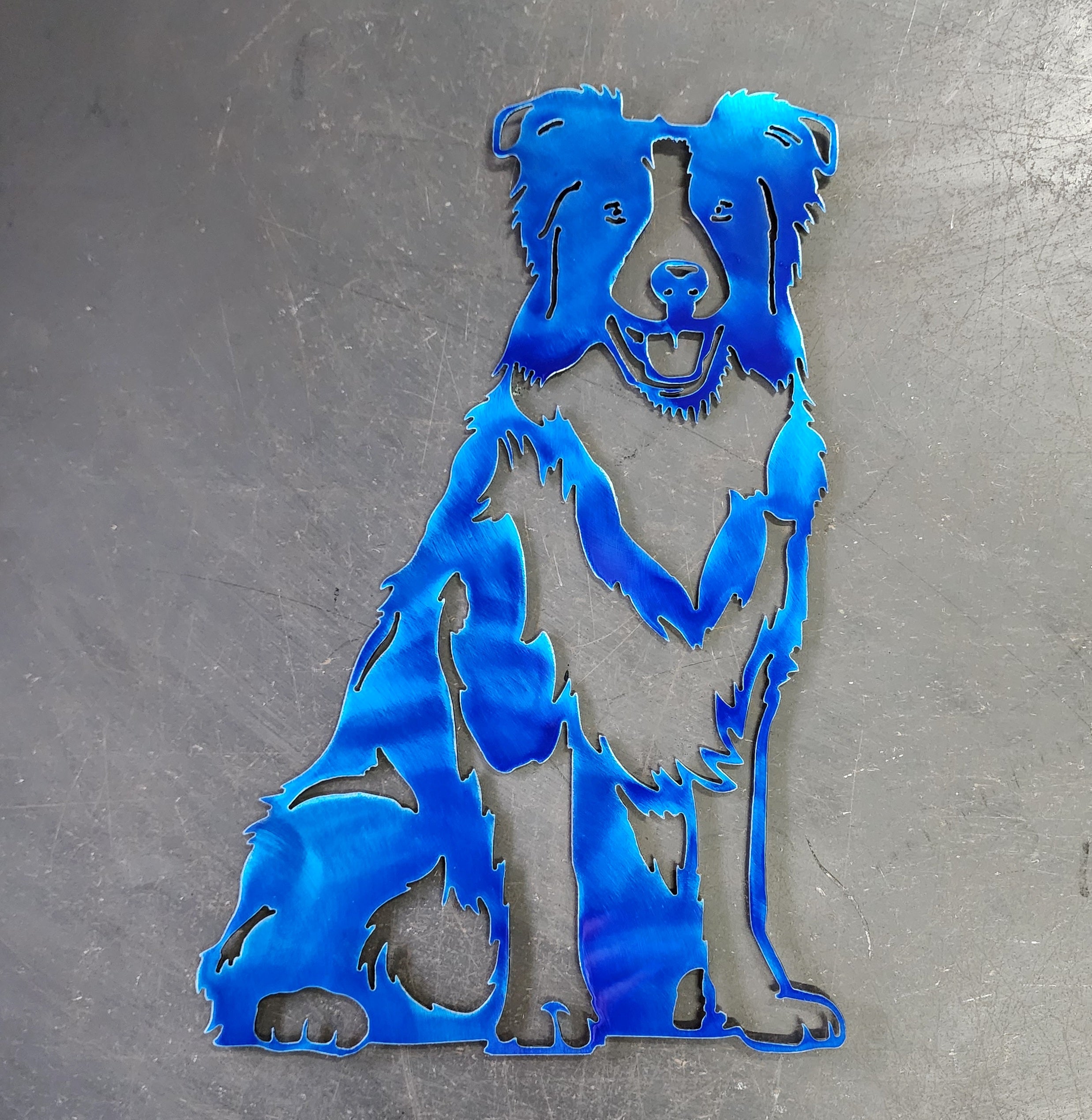 Border Collie #2 Metal Art