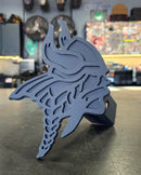 Custom Sports Team Hitch Covers