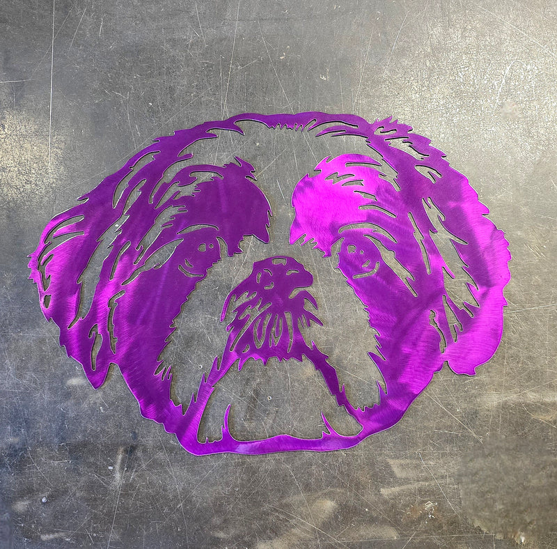 Shih Tzu