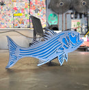 Striped Bass (Rockfish)