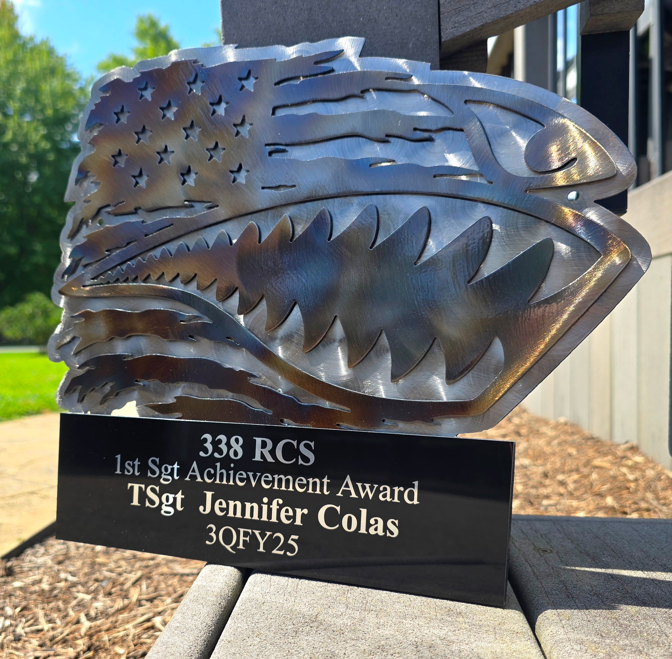 Wall-Mounted Trophies & Awards