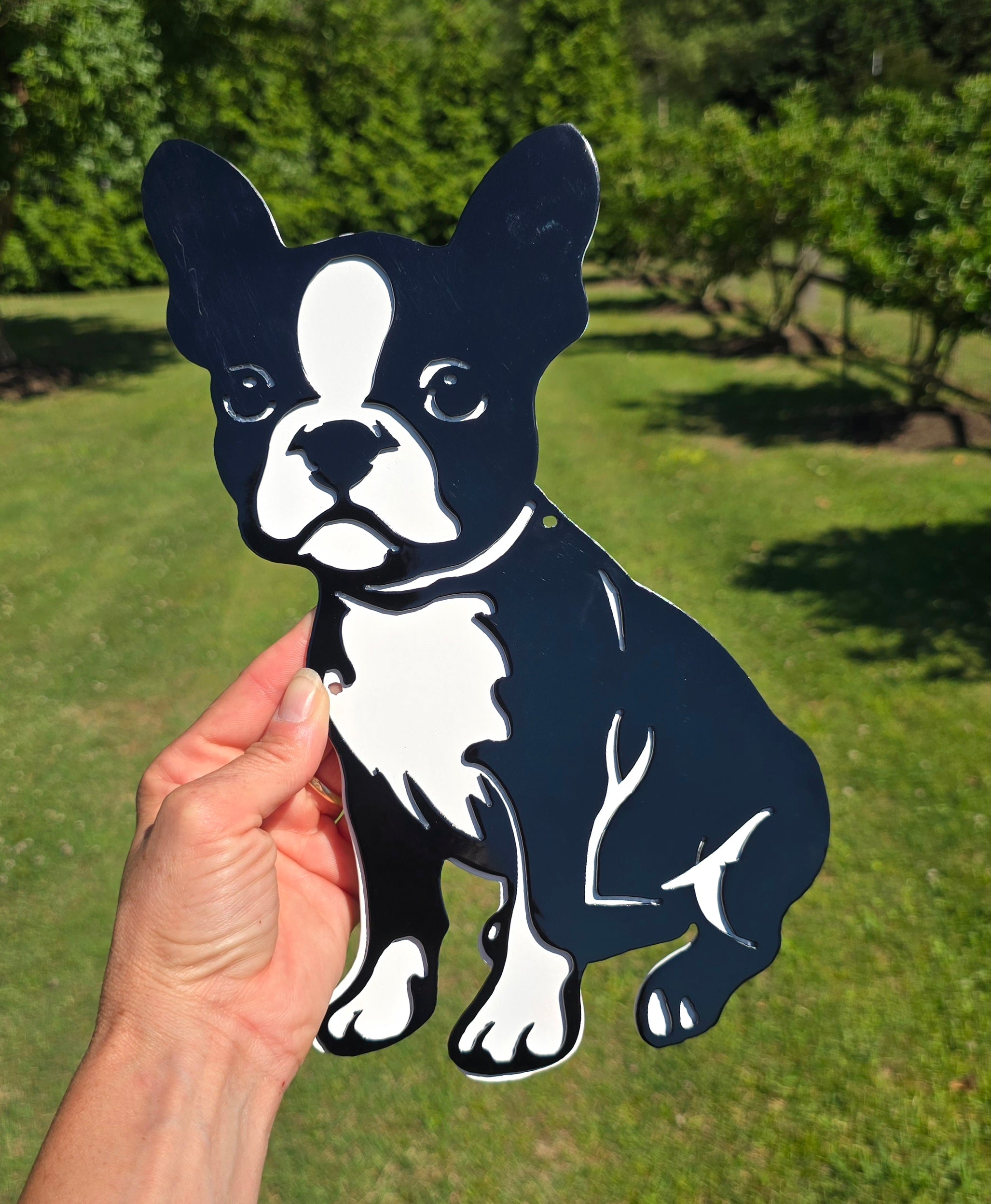 Boston Terrier #3 Wall Art- Sale