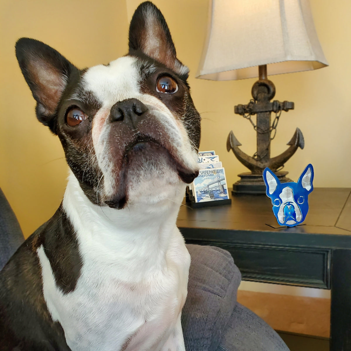 Dog photograph used as a portrait reference by Elite Metalworking