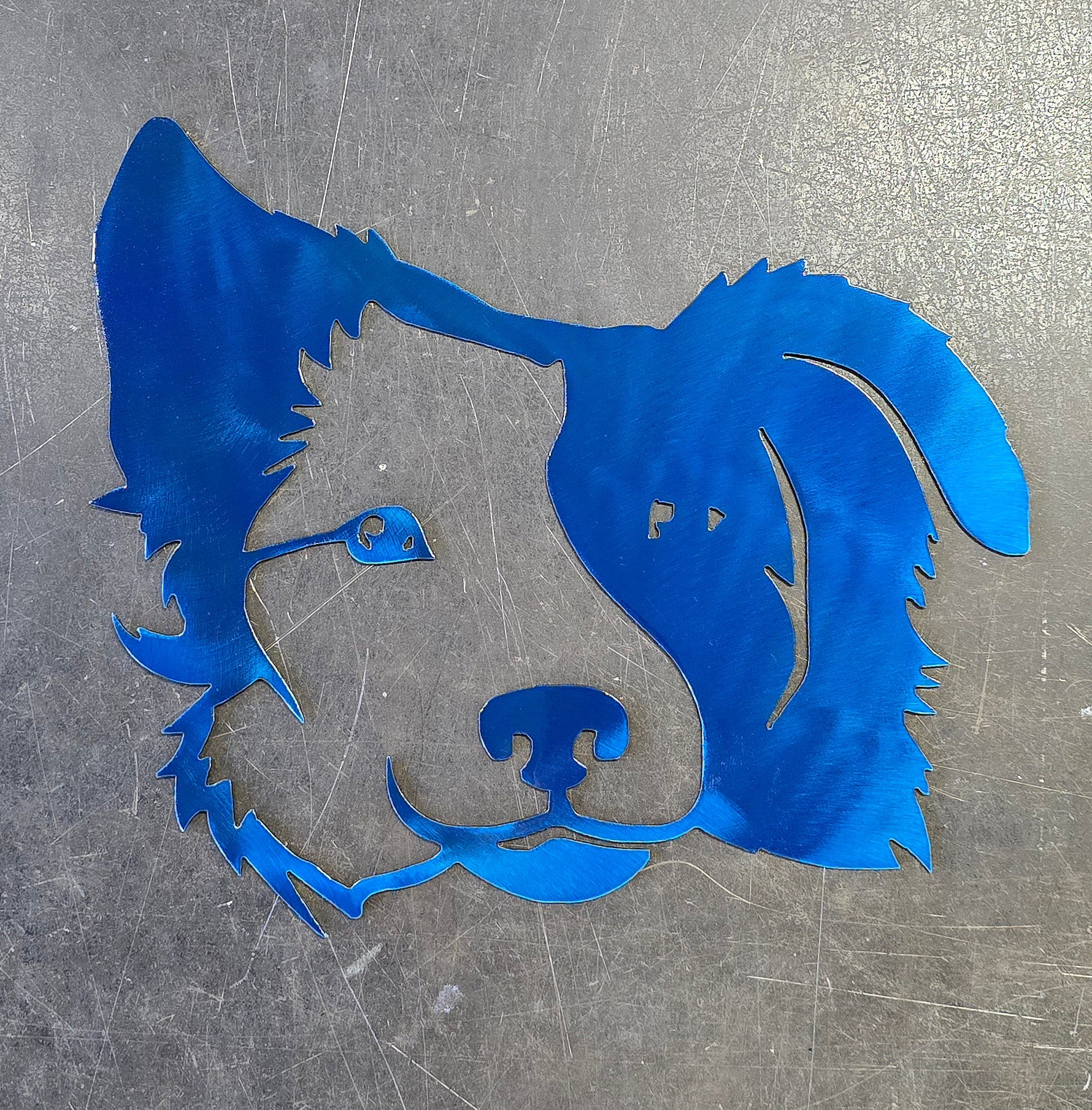 Border Collie #1 Metal Art