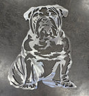 Bulldog