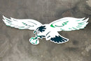 Philadelphia Eagles Custom Metal
