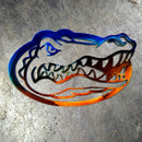 Florida Gators Custom Metal