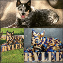 Custom Dog Signs & Metal Art