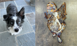 Custom metal art example by Elite Metalworking