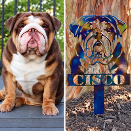 Cisco original dog photograph beside the finished personalized metal portrait garden stake by Elite Metalworking