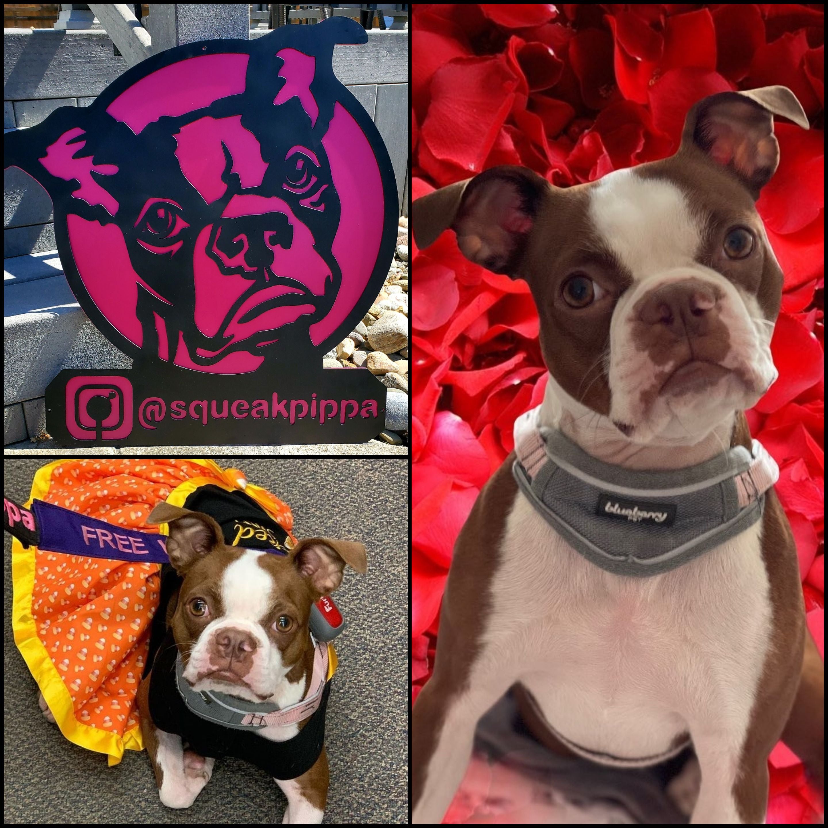 Custom Dog Metal Art