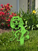 Cavalier King Charles