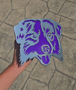 Australian Shepherd Metal Hitch Cover