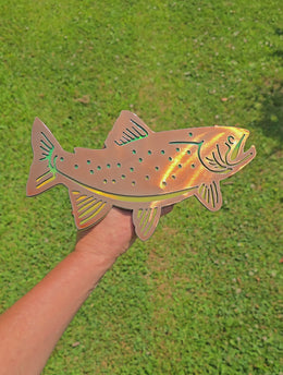 Trout Metal Hitch Cover