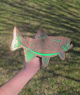 Trout Metal Hitch Cover