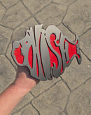 Phish Hitch Cover