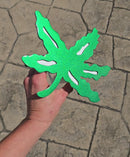 Ohio State Buckeyes Custom Metal