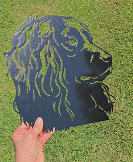 Boykin Spaniel Metal Wall Art