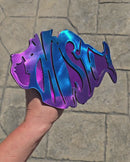 Phish Hitch Cover