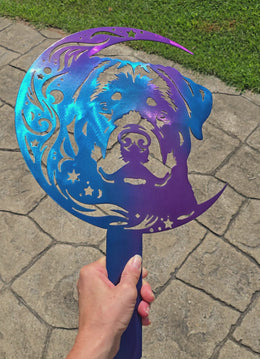 Nebula Candy