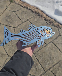 Striped Bass (Rockfish) Metal Hitch Cover